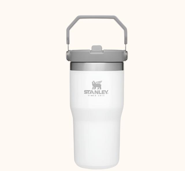 Stanley Flip Straw Tumbler 20 oz- Pickleball Paddle Design - Posh Pickler