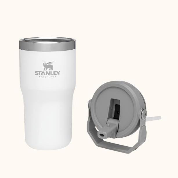 Stanley Flip Straw Tumbler 20 oz- Pickleball Paddle Design - Posh Pickler